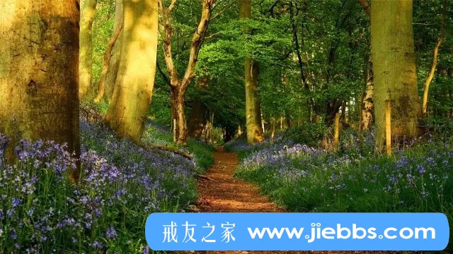 ”北大副教授致学生怀孕被开除