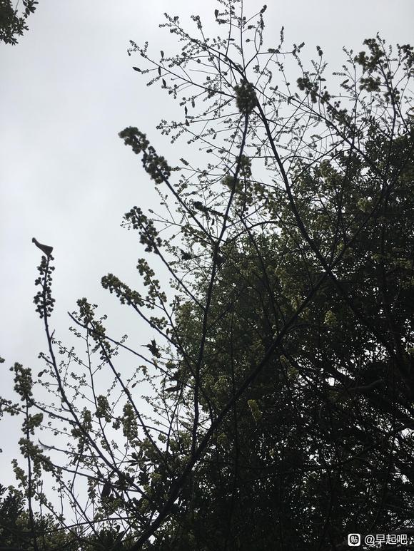 ”从今天开始新的习惯