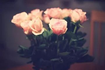 ”为何我们会贪恋异性的身体和容貌|熄灭贪欲、摆脱邪淫的...