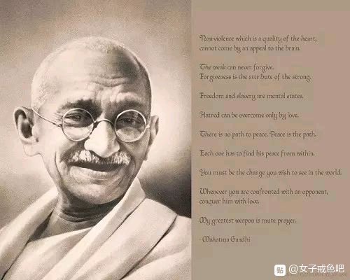 ”世界素食日：他们竟然都吃素，太不可思议了！