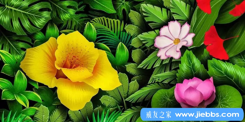 ”做到这五点，才是真正的断舍离