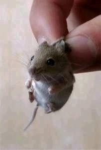 ”戒色戒色戒色,从day0开始