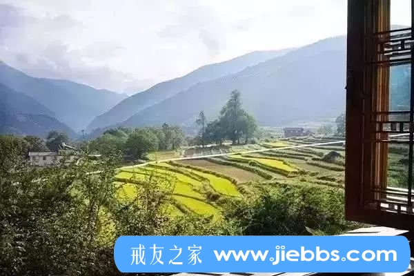 ”修不净观让我远离邪淫，淫念无孔能入