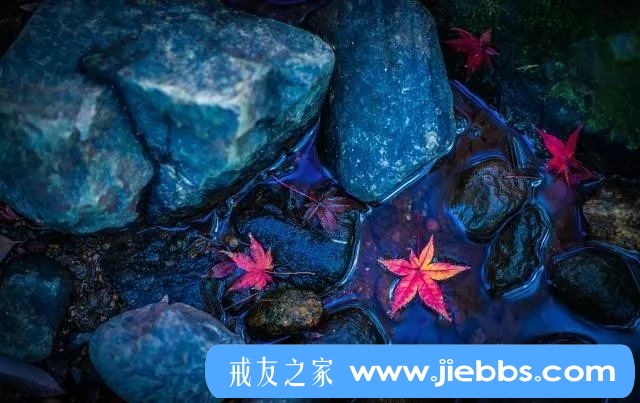 ”李嘉诚全传里面的戒色最高境界