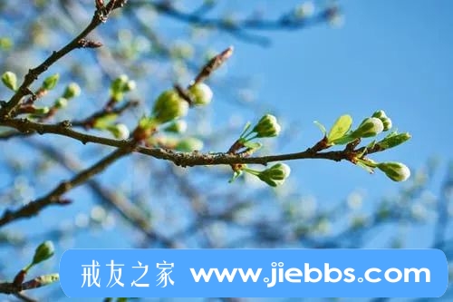 ”戒友投稿：同性恋邪淫忏悔