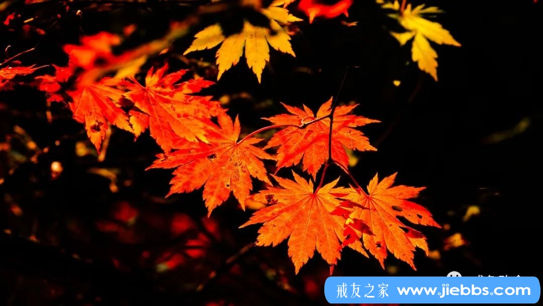 ”打赢戒邪淫遭遇战：从淫念起现到战胜淫念的全过程