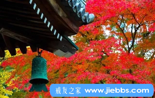 ”远离邪淫，拒绝色情，一个34岁男人的忏悔