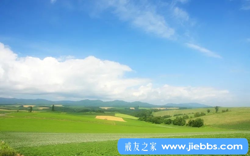 ”“迷恋黄片、色情网站的人”，结局会怎么样呢