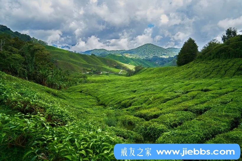 ”31岁老男人，大叔级人物，“为梦想再搏一次”