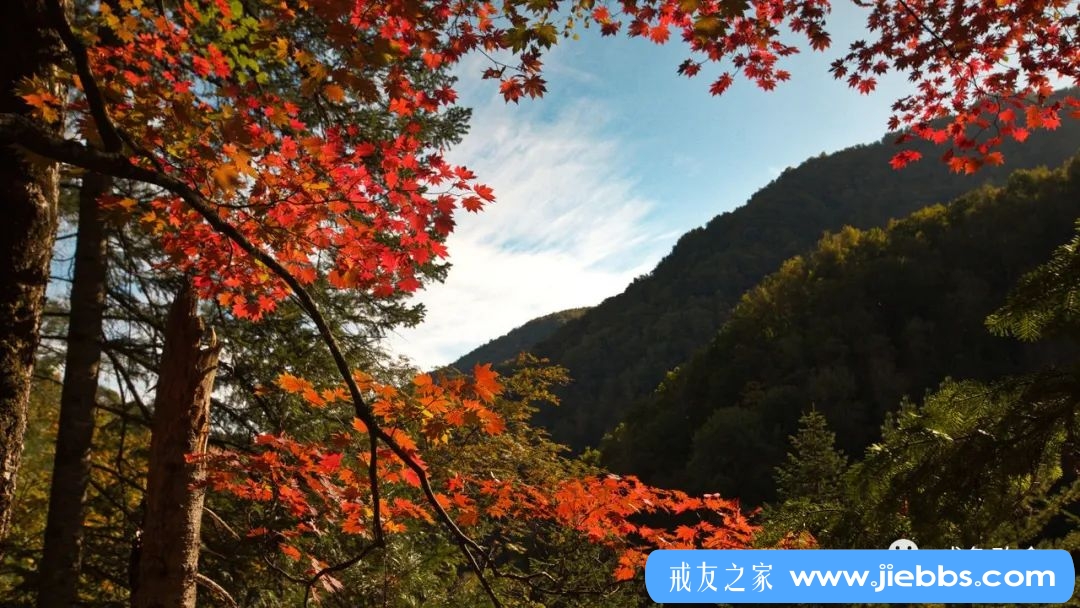 ”今天我有勇气终于告诉爸妈我邪淫的过去！