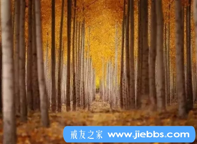 ”热烈欢呼，传播60TB淫秽色情视频的案件被破获