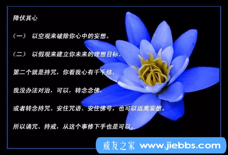 ”大揭秘：才几天的时间，你怎么又破戒了？