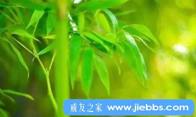 ”欲火焚身时的应对方法