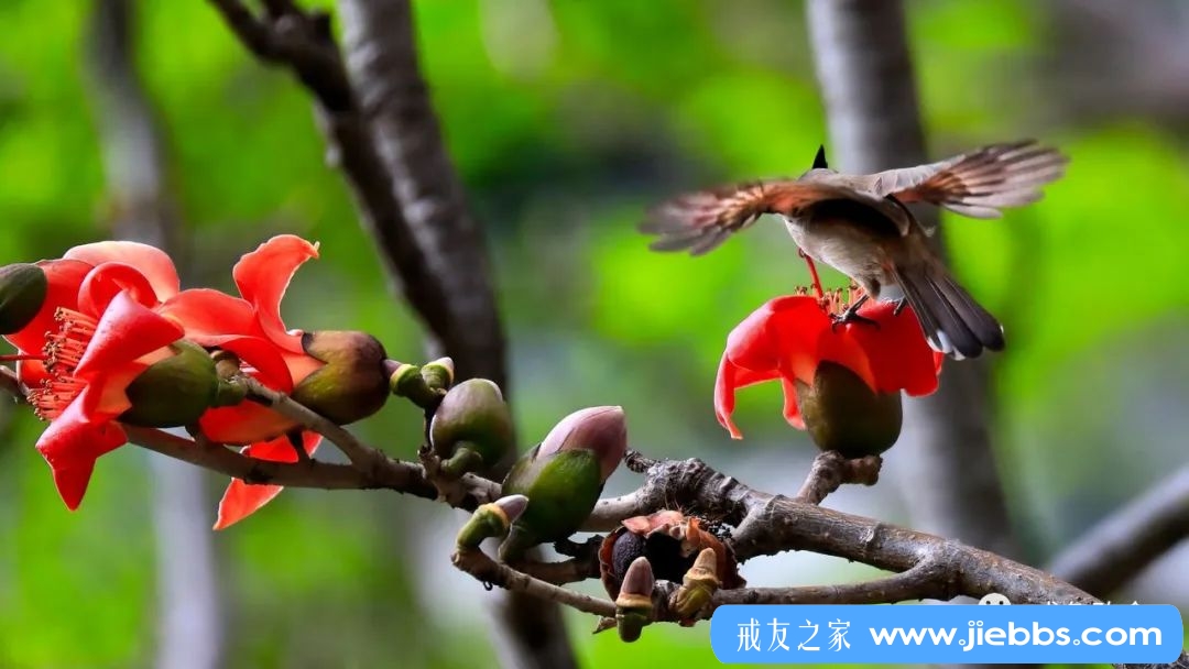 ”走进戒色，九年再回首经验总结走进戒色，九年再回首经...