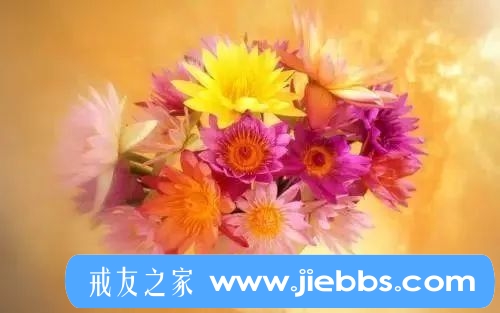 ”美女刻意安排的艳遇导致某大款一步步走向坠亡