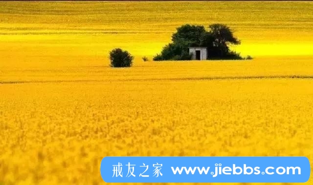 ”人应该怎样与欲望合理地共度一生