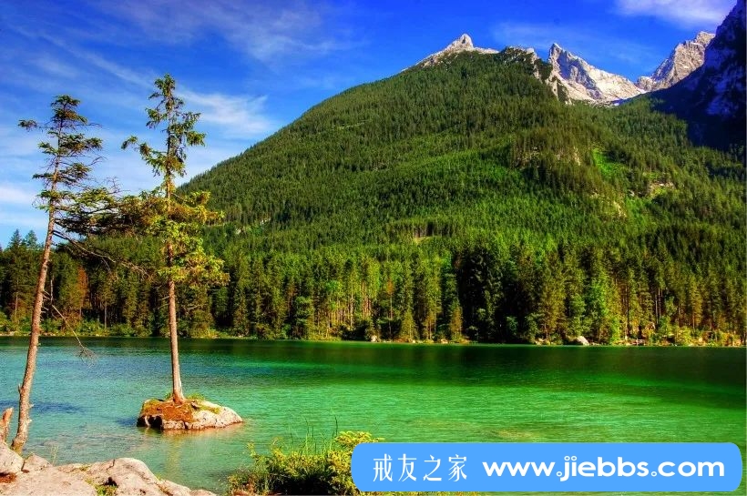 ”高人点醒一个沉迷手淫的戒友