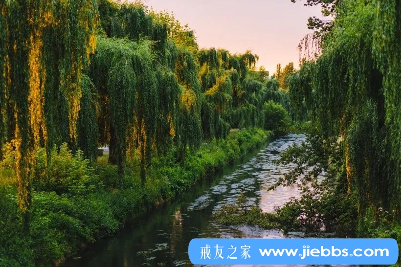 ”戒色90天，变化太惊人了，帅爆了