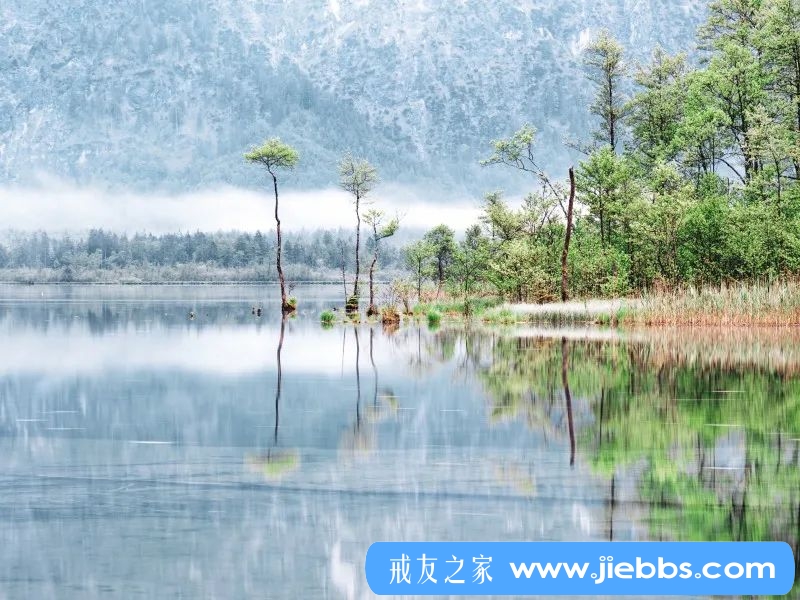 ”戒友感悟：原来你本来拥有创造美好的能力