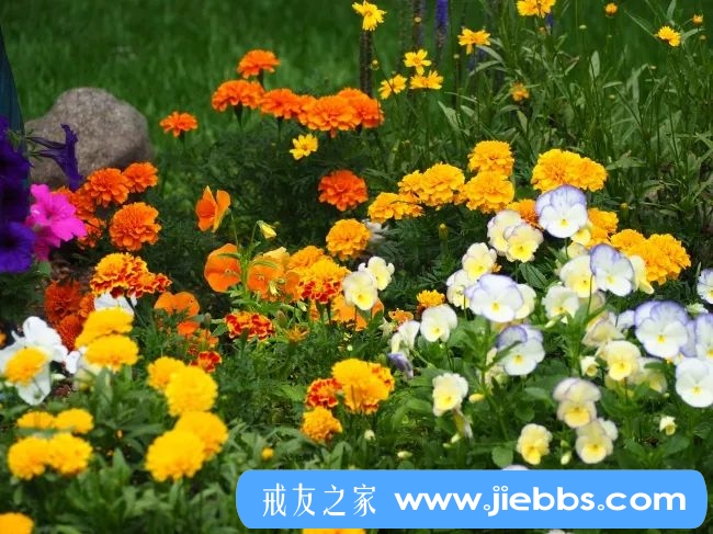 ”一个大学老师6年漫长的戒色之路，终于顿悟