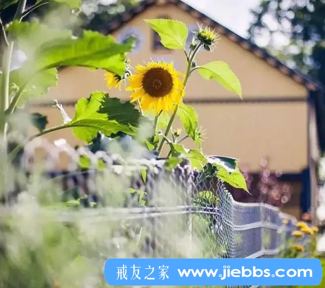 ”一名大学生的戒色经历