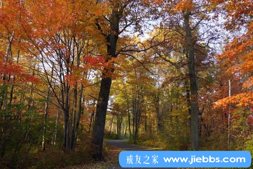 ”戒90天的心得体会，戒色是一辈子的事