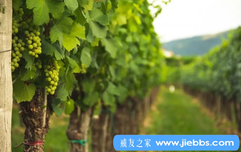 ”15年邪淫史一些心得体会