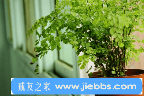 ”来自资深戒友对SY的看法