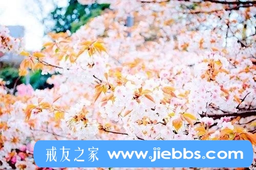 ”回顾十二年的戒淫历程