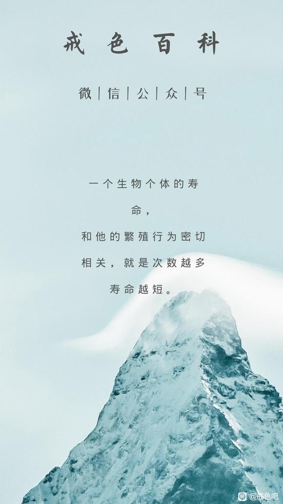 ”8u们,有关于戒色相关知识的图片吗,求分享