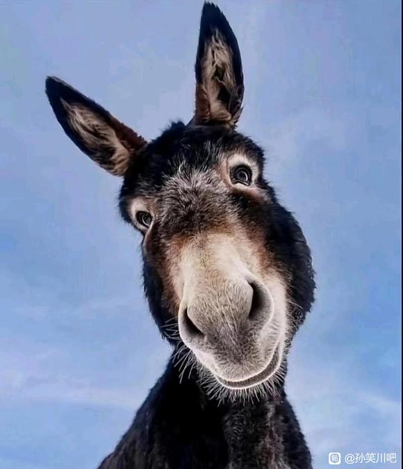 ”打今儿起戒色!!请各位监督