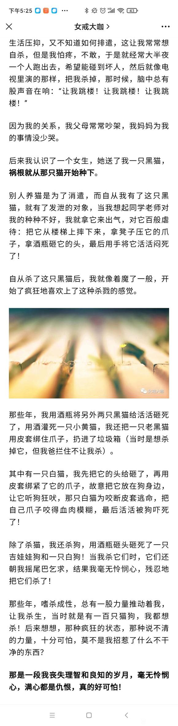 ”nue杀猫狗的少女