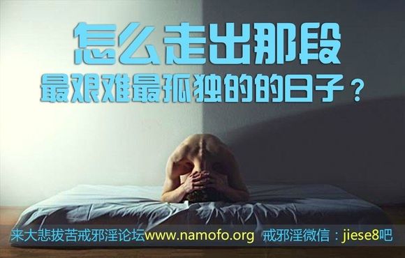 ”【资料分享】[转帖]