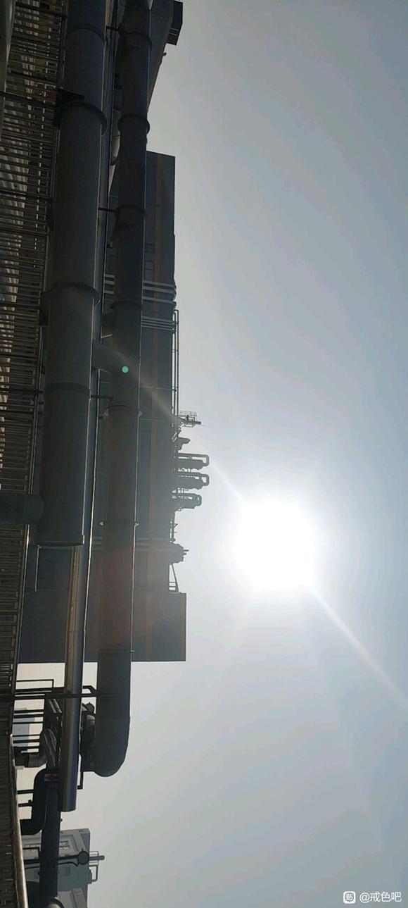 ”记录天数及变化