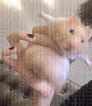 ”戒色,我要借色