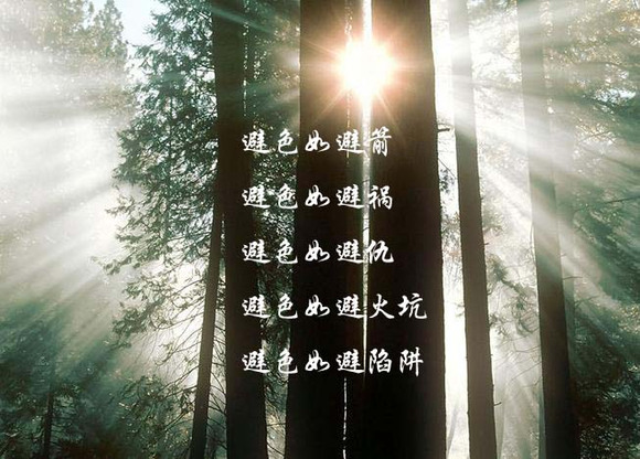 ”【飞翔经验：吸收率问题，戒色稳定期，精子质量】32季！