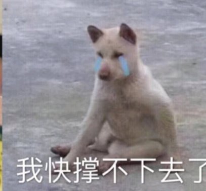 ”五年级开始冲，现在大四，十一年了。很频繁，基本上一天一次或两