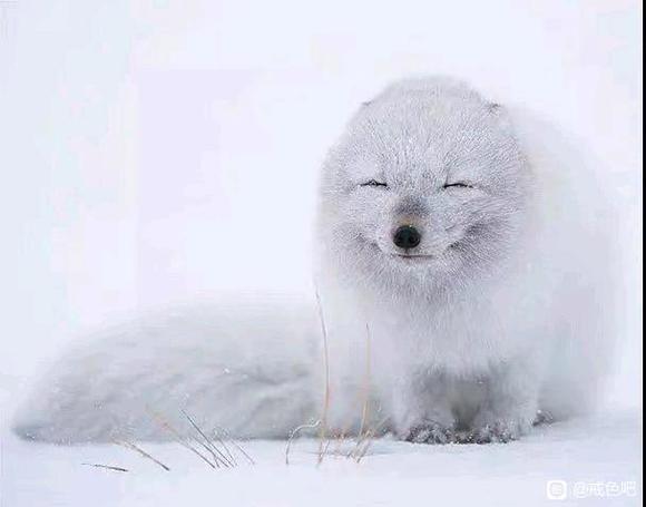 ”大家好[玫瑰]今天我们一起学习一篇正能量文章-永远不要低估笑的