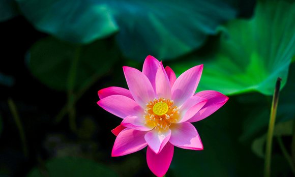 ”【戒为良药笔记分享】如何提高戒色文章的实战转化率