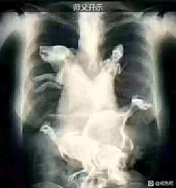 ”人类是无聊的→_→