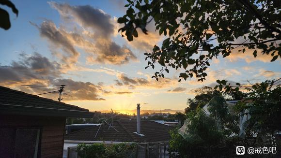 ”植物神经紊乱