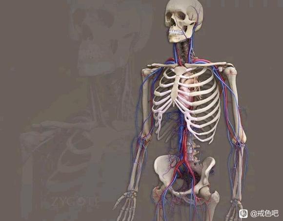 ”人体本就不净，我等何须迷恋