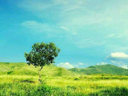 ”【戒色心得】谈谈戒色维持期间遇到的几个心理烦恼及其应对措施