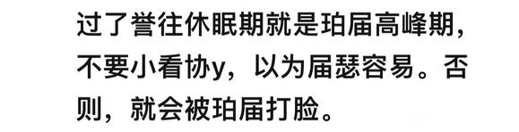 ”平安端庄的“神”