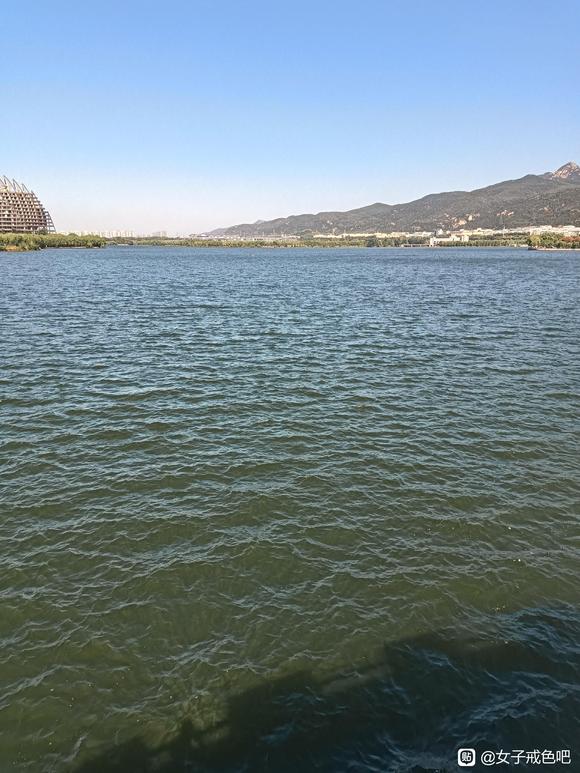 ”戒恶习的重生日记第38天