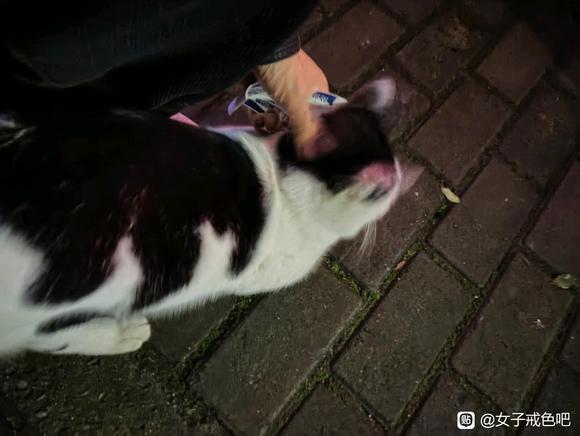 ”布施转化贪欲