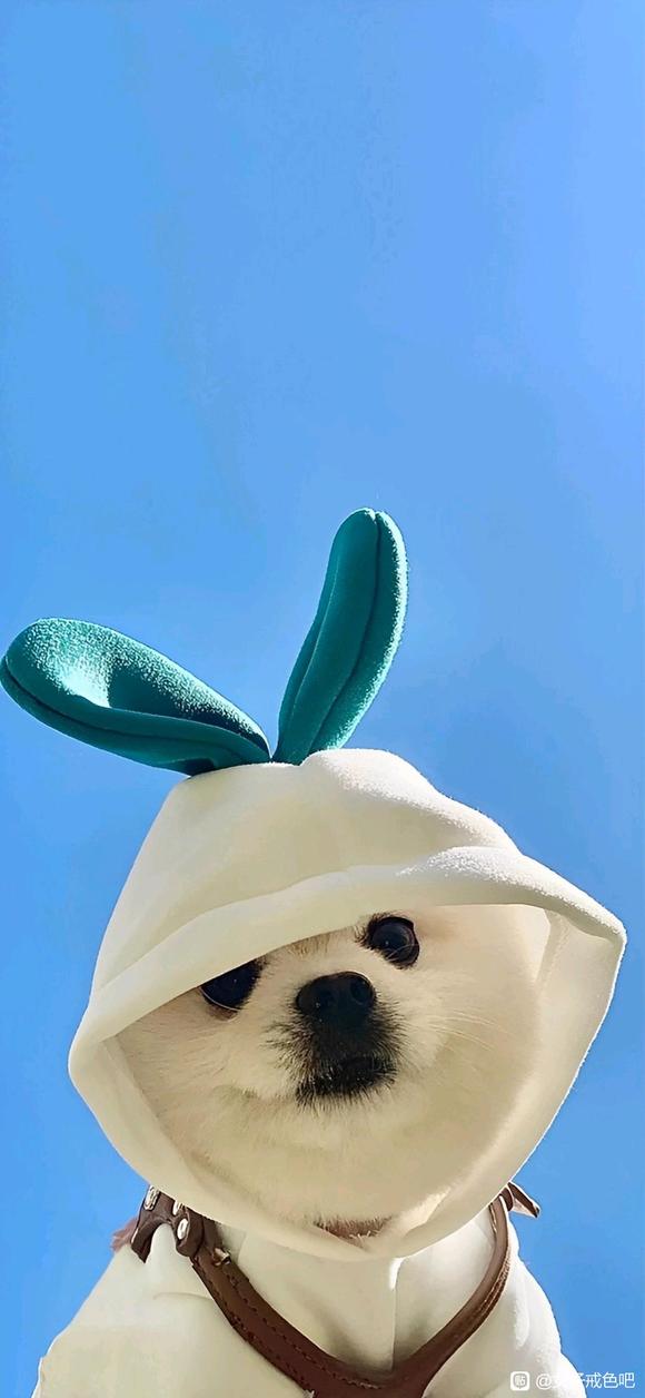 ”第三百九十三章