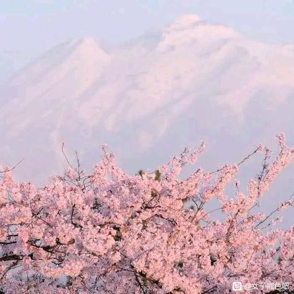 ”【转载】作为一个优秀的女博士，我却到现在还形单影只！