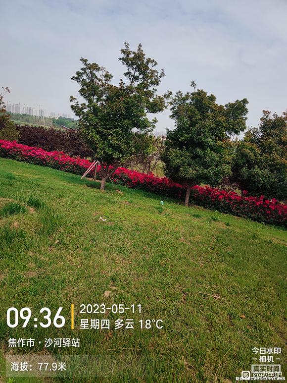 ”坚持戒色,坚持跑步,晨跑打卡11公里,加油