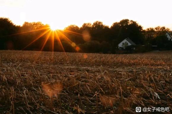 ”【转载】，谐银让我们只能站在同龄人身后哭泣自怜